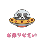 [お帰りなさい専用]UFOで宇宙犬3（個別スタンプ：1）
