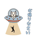 [お帰りなさい専用]UFOで宇宙犬3（個別スタンプ：2）