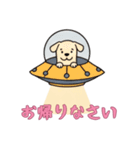 [お帰りなさい専用]UFOで宇宙犬3（個別スタンプ：3）
