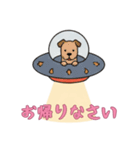 [お帰りなさい専用]UFOで宇宙犬3（個別スタンプ：5）