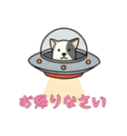 [お帰りなさい専用]UFOで宇宙犬3（個別スタンプ：6）