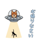[お帰りなさい専用]UFOで宇宙犬3（個別スタンプ：7）
