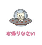 [お帰りなさい専用]UFOで宇宙犬3（個別スタンプ：9）