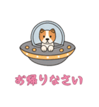 [お帰りなさい専用]UFOで宇宙犬3（個別スタンプ：11）