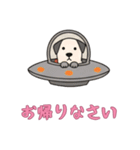 [お帰りなさい専用]UFOで宇宙犬3（個別スタンプ：13）