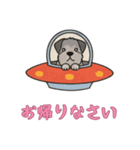 [お帰りなさい専用]UFOで宇宙犬3（個別スタンプ：14）