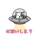 [お願いします専用]UFOで宇宙犬3（個別スタンプ：14）
