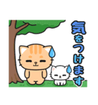 みんなに使える♪ゆる敬語 #ネコナール8（個別スタンプ：18）
