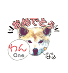 柴犬ハルver8（個別スタンプ：18）