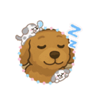 トイプーのララちゃん（個別スタンプ：9）