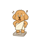 トイプーのララちゃん（個別スタンプ：12）
