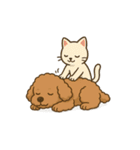 トイプーのララちゃん（個別スタンプ：13）