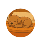 トイプーのララちゃん（個別スタンプ：16）