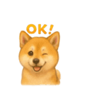 柴犬とトイプードル日常会話（個別スタンプ：9）