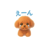 柴犬とトイプードル日常会話（個別スタンプ：12）