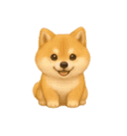 柴犬とトイプードル日常会話（個別スタンプ：13）