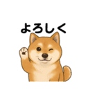 柴犬とトイプードル日常会話（個別スタンプ：15）