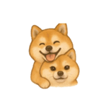 柴犬とトイプードル日常会話（個別スタンプ：16）