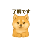 柴犬の日常25（個別スタンプ：3）