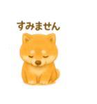 柴犬の日常25（個別スタンプ：5）