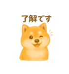 柴犬の日常25（個別スタンプ：6）
