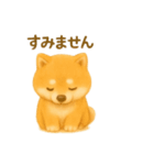 柴犬の日常25（個別スタンプ：7）