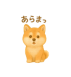 柴犬の日常25（個別スタンプ：8）
