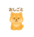 柴犬の日常25（個別スタンプ：9）