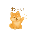 柴犬の日常25（個別スタンプ：12）