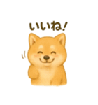 柴犬の日常25（個別スタンプ：13）