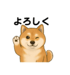 柴犬の日常25（個別スタンプ：16）