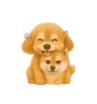 柴犬の日常無言12（個別スタンプ：2）