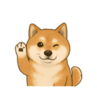 柴犬の日常無言12（個別スタンプ：6）