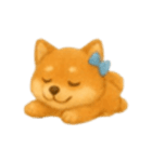 柴犬の日常無言12（個別スタンプ：11）
