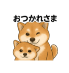 柴犬の日常会話26（個別スタンプ：1）