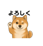 柴犬の日常会話26（個別スタンプ：4）
