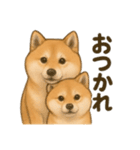 柴犬の日常会話26（個別スタンプ：5）