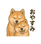 柴犬の日常会話26（個別スタンプ：7）