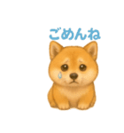 柴犬の日常会話26（個別スタンプ：12）