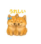 柴犬の日常会話26（個別スタンプ：13）