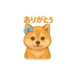 柴犬の日常会話26（個別スタンプ：15）