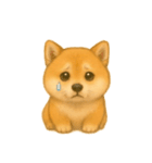 柴犬の日常無言26（個別スタンプ：1）