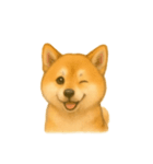 柴犬の日常無言26（個別スタンプ：2）