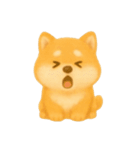 柴犬の日常無言26（個別スタンプ：6）