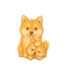 柴犬の日常無言26（個別スタンプ：13）