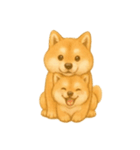 柴犬の日常無言26（個別スタンプ：14）