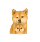 柴犬の日常無言26（個別スタンプ：15）