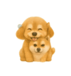 柴犬の日常無言26（個別スタンプ：16）