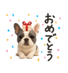 毎日つかえる かわいいフレンチブルドッグ（個別スタンプ：1）