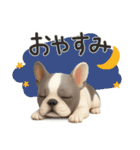 毎日つかえる かわいいフレンチブルドッグ（個別スタンプ：7）